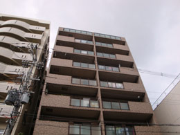 ���C�I���Y�}���V�����l�𐼓��@��Q