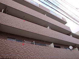 ���o�[�k�j