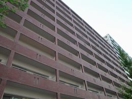 ���C�I���Y�}���V�����x��