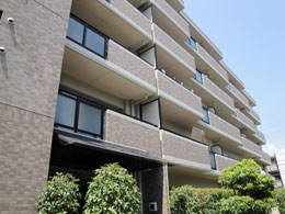 �V�e�B�I���s�E�����