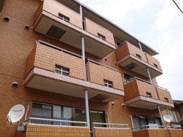 ���C�I���Y�}���V�������s�����2