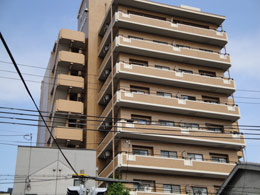 ���C�I���Y�}���V�������s�͌�����Q