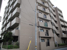 ���C�����V���g�[�܏���O