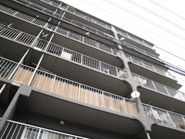 �j���[���C�t�}���V�������m�X