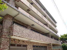 �O�����h�q���Y����_�{��