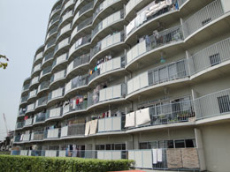 �p����c�n