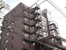 ���C�I���Y�}���V����������q