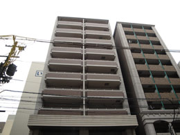 ���X�^�[�W���l���G�ۃ��e�B�X