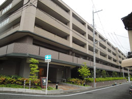 �p�f�V�I���ۑ���