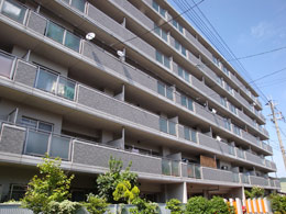 �y�������s�썂�q��