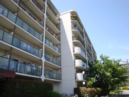 Rg[nCcׂb