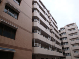 TVFRȐX쒬
