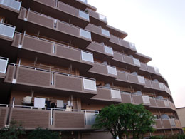 TVFRȐ