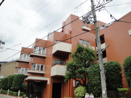 �K�[�f����掛