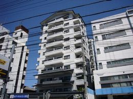 �V���t�H�j�[���R