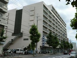 �i�a�R�ȃn�C���C�t