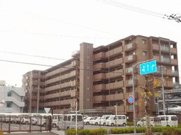 �p�f�V�I�����s�\��