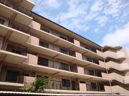 �T���V�e�B�j�⃍�C������Ԋ�