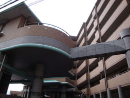 �N���X�e�[�W���R