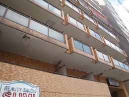���C�I���Y�}���V�������s���w